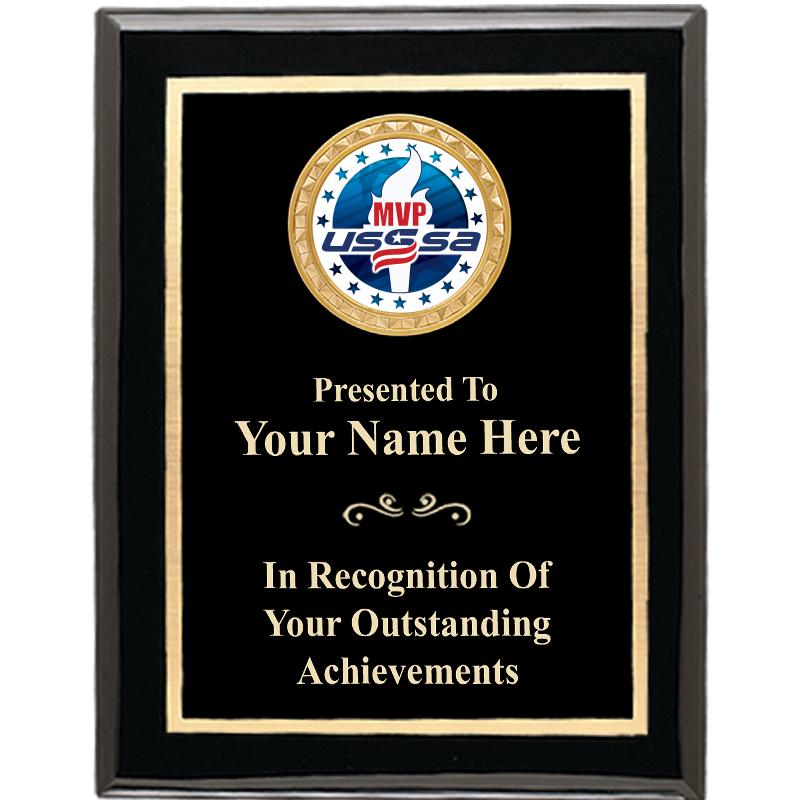 6X8USSSA BK SHNY EXEC INSRT PQ