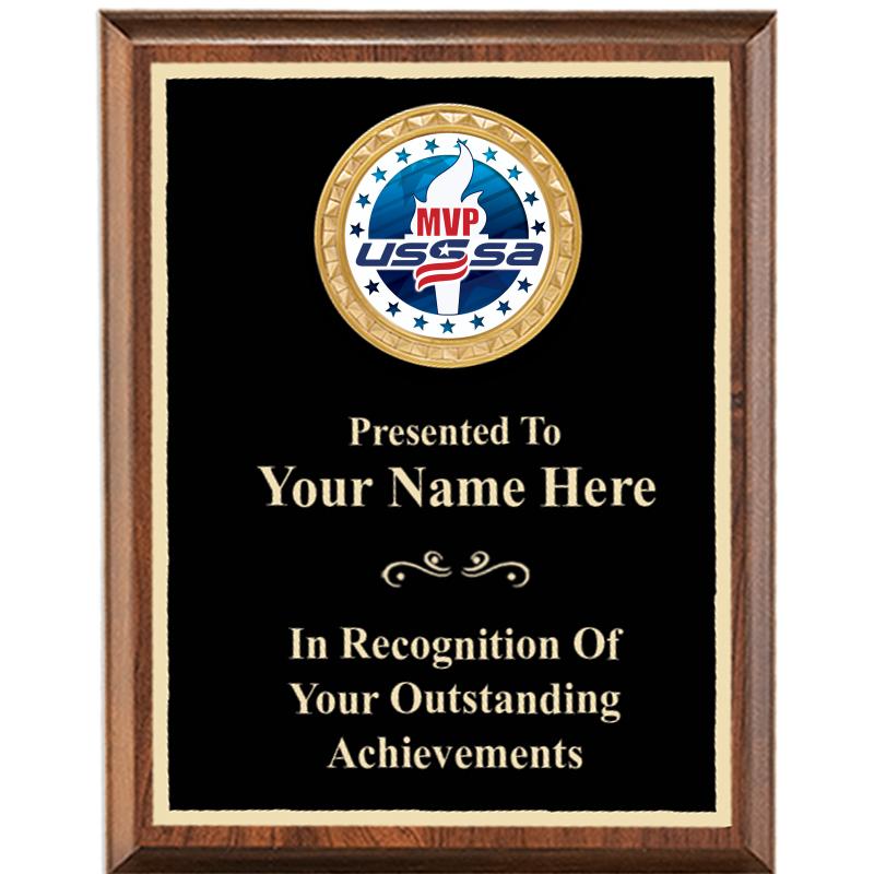 6X8 USSSA WD EXECUTVE INSRT PQ