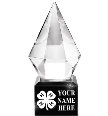 4-H Diamond Crystal Jewel