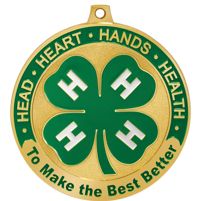 2 1/2"4H ACHIEVE MDL-GR/WH RIB