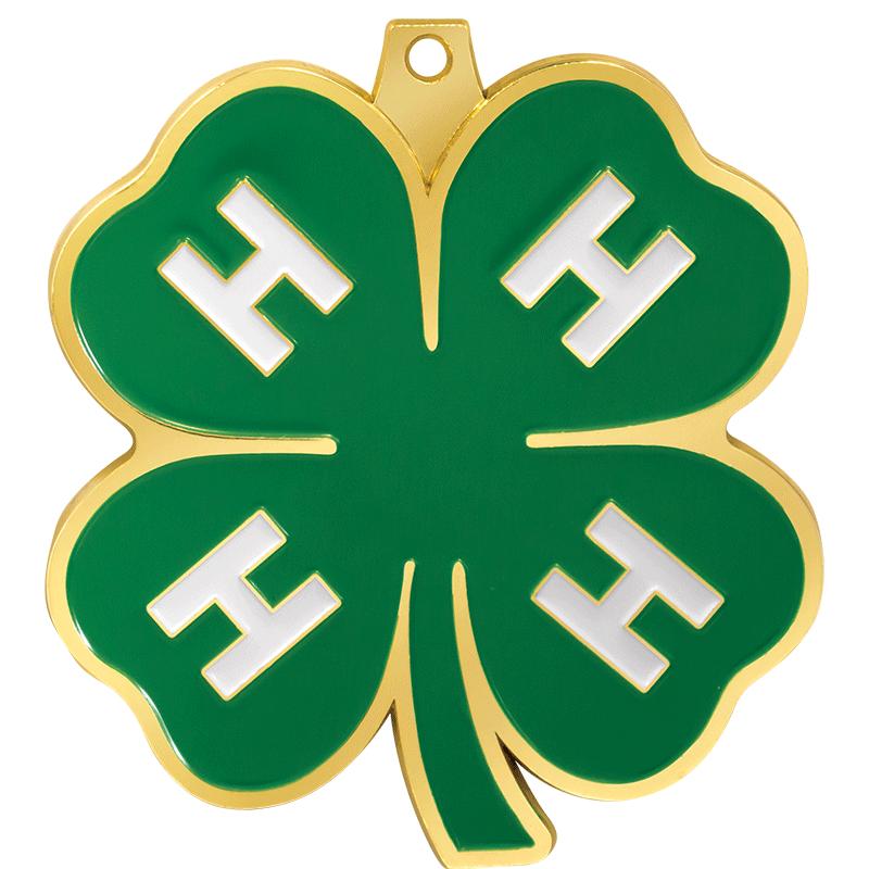 2 1/2" 4H CLOVER MDL-GR/WH RIB