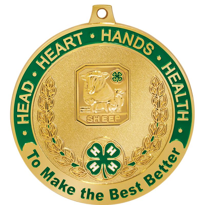 2 1/2"4H SHEEP MDL-GR/WH RIB