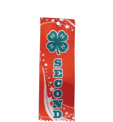 4-H Second Ribbon