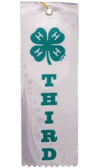 4-H THIRD RIBBON