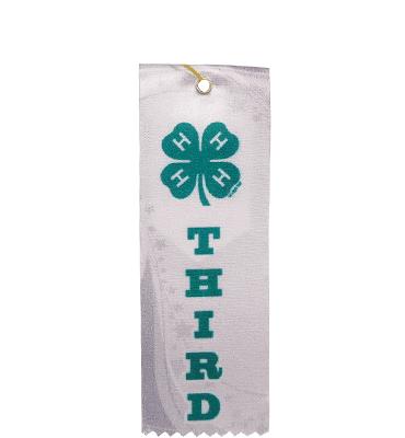 4-H Third Ribbon