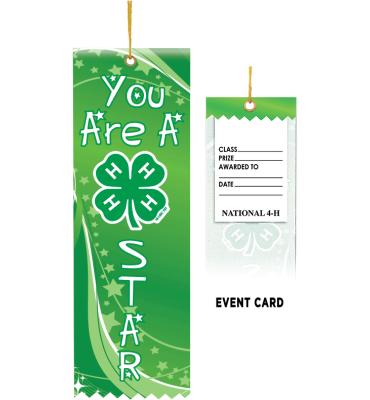 4-H You Are A Star Ribbon