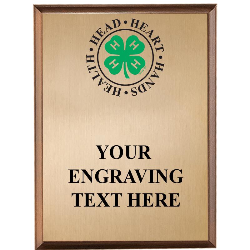 7"X9"4H HEAD HEART HANDS HEALT