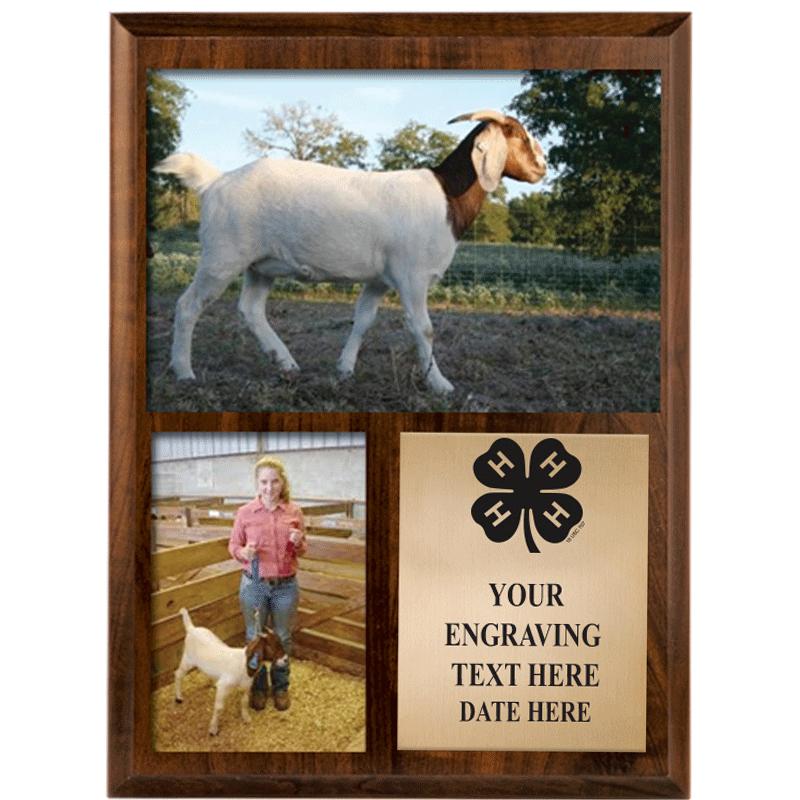 9"X13"4-H WALNUT PHOTO PLAQUE