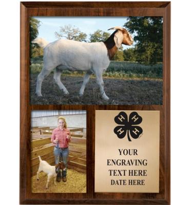 9"x13" 4-H Walnut Photo Plaque
