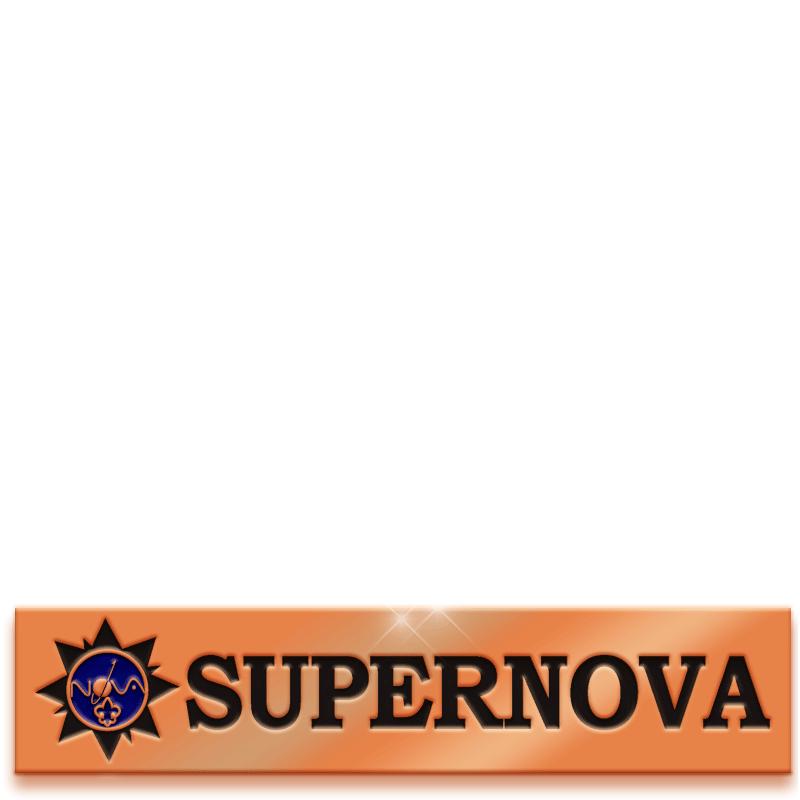 2"SUPERNOVA AWARD BAR PIN BRNZ