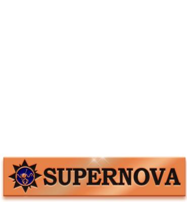 BSA Supernova Award Bronze Bar Pin