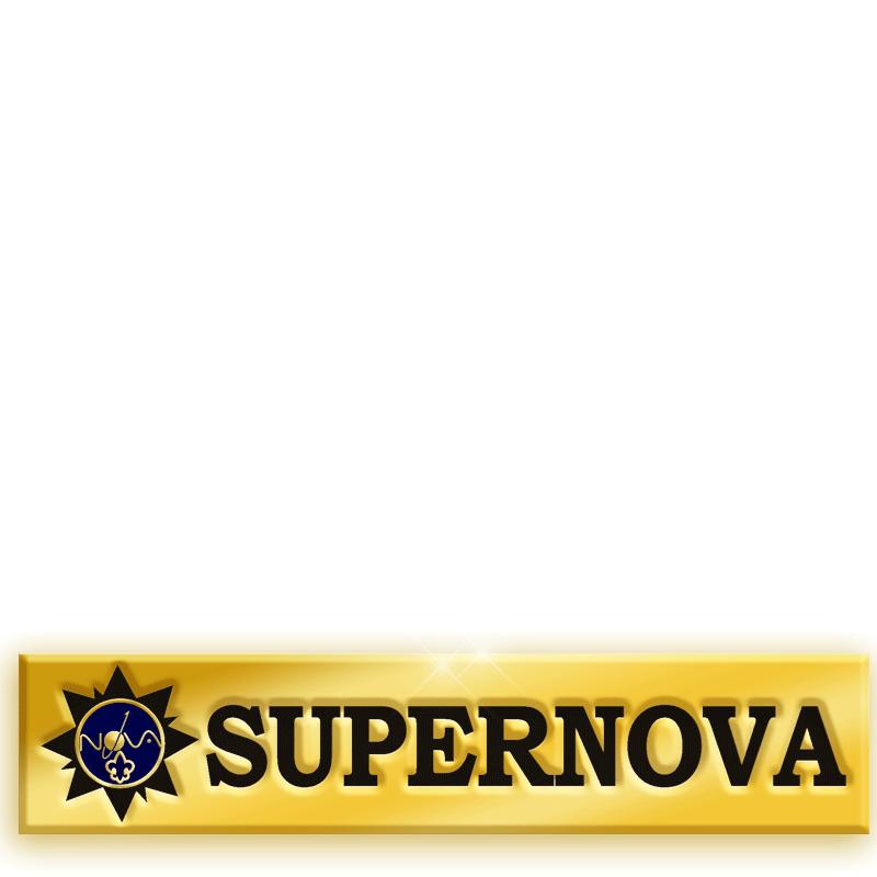 2"SUPERNOVA AWARD BAR PIN GOLD