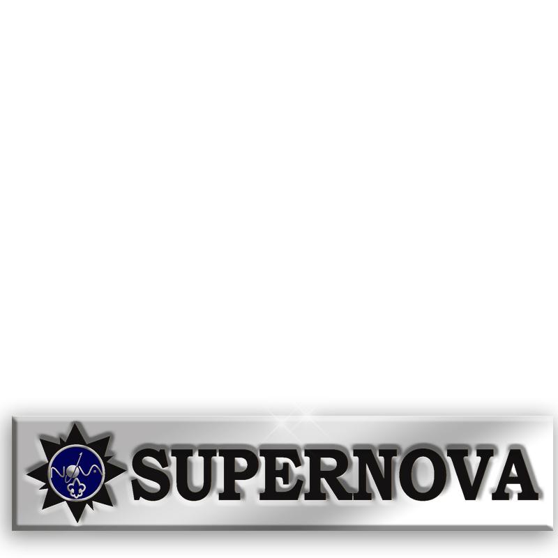 2"SUPERNOVA AWARD BAR PIN SLVR
