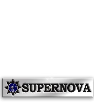 BSA Supernova Award Silver Bar Pin