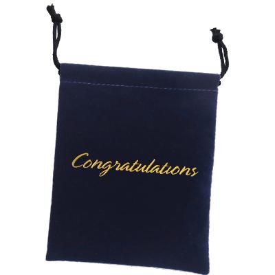 LUXURY SUEDED MEDALLION POUCH
