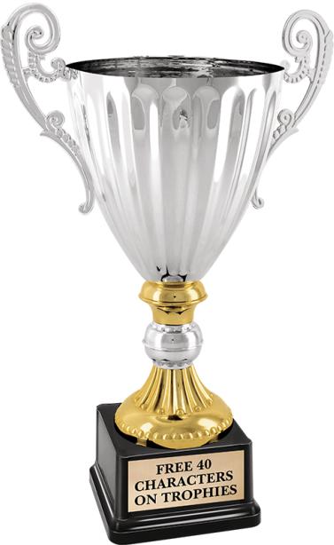 Metal Award Trophy Cup, Size (Inches): 35 Inch at Rs 400/piece in