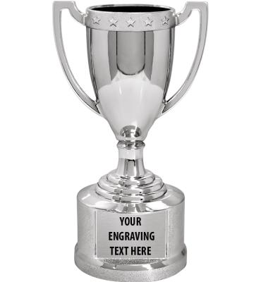 5 1/2" Silver Cup Trophy