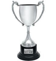 Classical Metal Cup Trophy