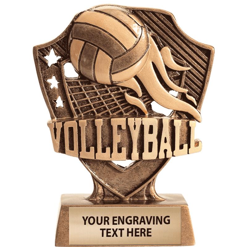 5" SHIELDZ VOLLEYBALL SCULPTUR