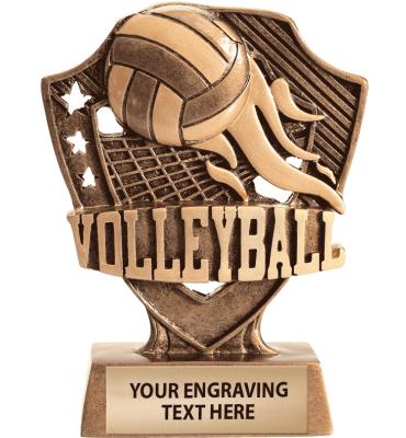 Shieldz Volleyball Sculpture