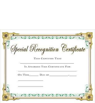 Special Recognition Certificate