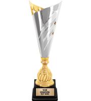 Silver And Gold Star Streak Cup Trophy
