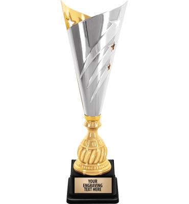Silver And Gold Star Streak Cup Trophy