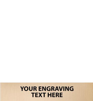3.75"W x .75"H Replacement Plate For Trophies