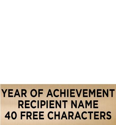 1.75 W x .62 H Gold Perpetual Plate For Perpetual Champion Belt