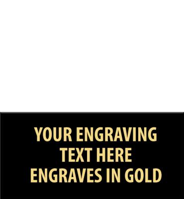 1.3"W x .77"H Replacement Plate For Medals