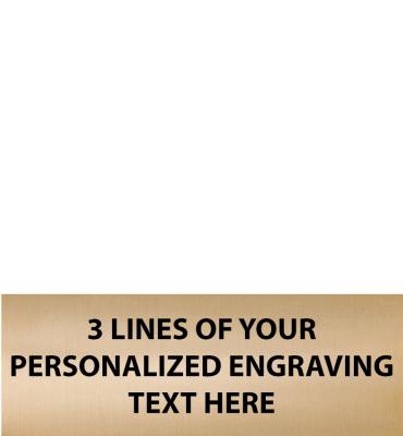 2.25"W x .81"H Gold Flexi Plate