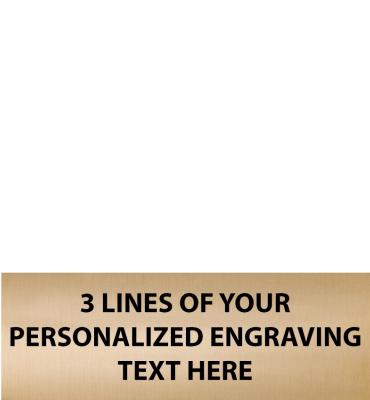 2.5"W x .875"H Gold Flexi Plate