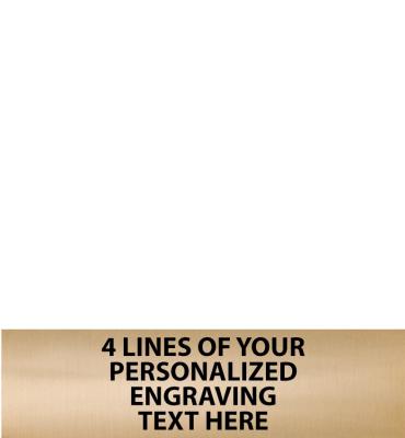 2.75"W X .75"H Gold Flexi Plate