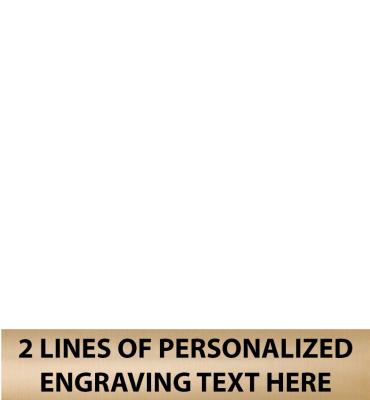 2.6"W x .5"H Gold Flexi Plate