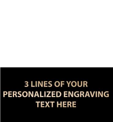 1.12"W x .6"H Replacement Plate For Medals