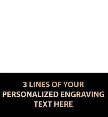 1.48"W x .61"H Replacement Plate For Medals