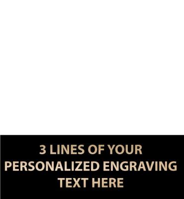 1.78"W x .62"H Replacement Plate For Medals