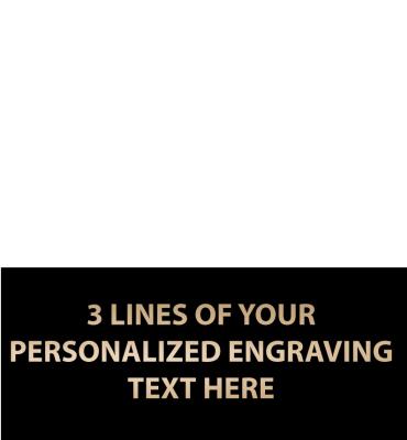 1.4"W x .6"H Replacement Plate For Medals