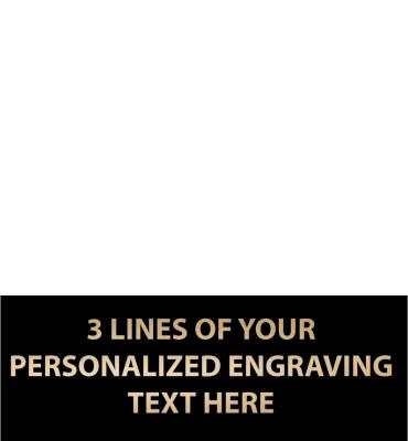 1.72"W x .62"H Replacement Plate For Medals