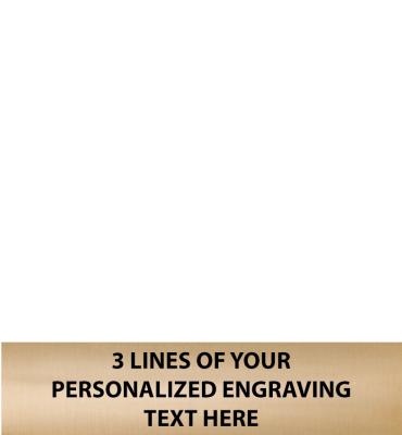 2.6"W x .6"H Gold Flexi Plate