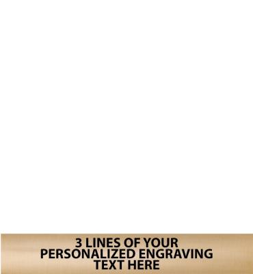 6.25"W x 1"H Gold Flexi Plate