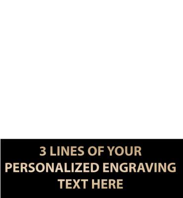 1.63"W x .53"H Replacement Plate For Medals