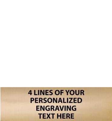 2.62"W x .8"H Gold Flexi Plate