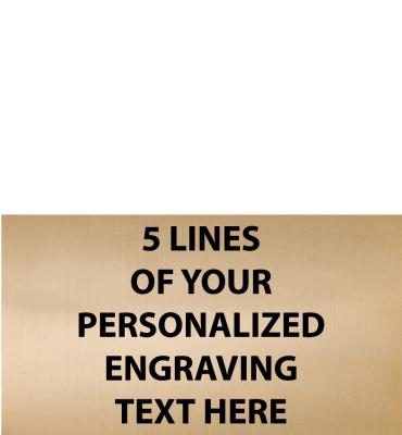 2.19"W x 1.22"H Gold Flexi Plate