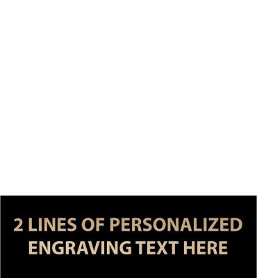 1.38"W x .44"H Replacement Plate For Medals