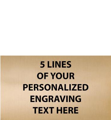 3.8"W x 2.25"H Gold Flexi Plate