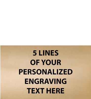 3.8"W x 2.25"H Gold Flexi Plate