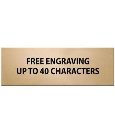 1" x 3" Gold Flexi Perpetual Plate For Monthly Plaques