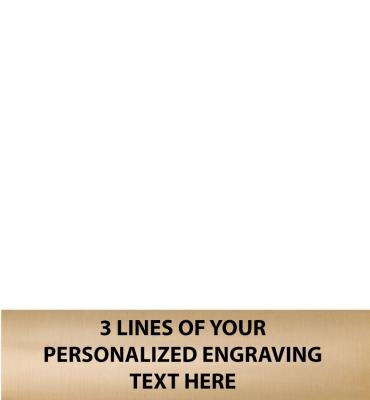 3.25" x .8" Gold Flexi Perpetual Plate