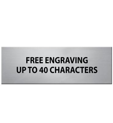 1" x 3" Silver Flexi Perpetual Plate For Frame